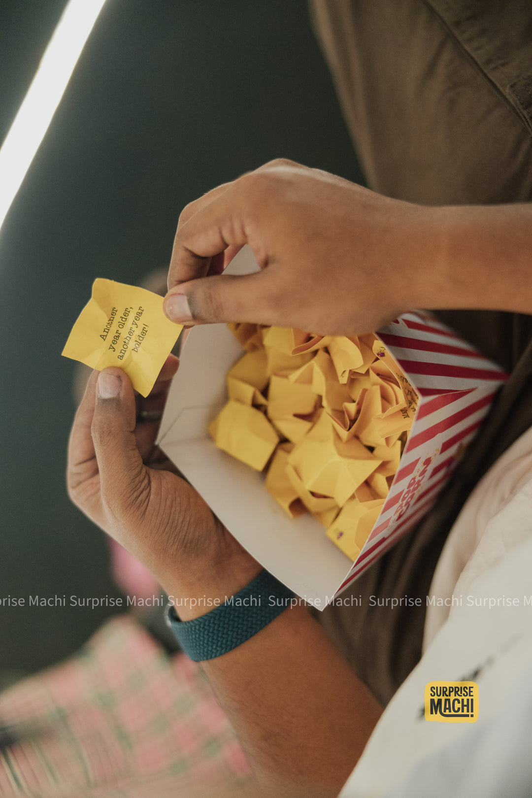MINI THEATRE AND MEADOW OF SURPRISES