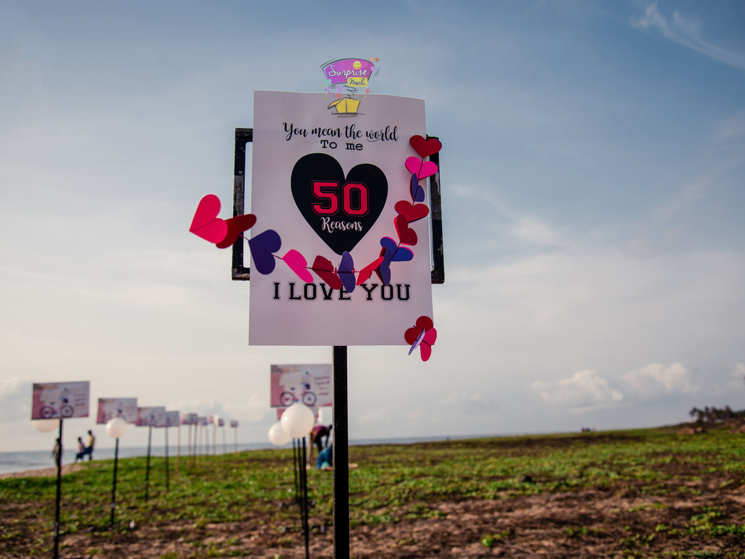THE REASONS OF LOVE